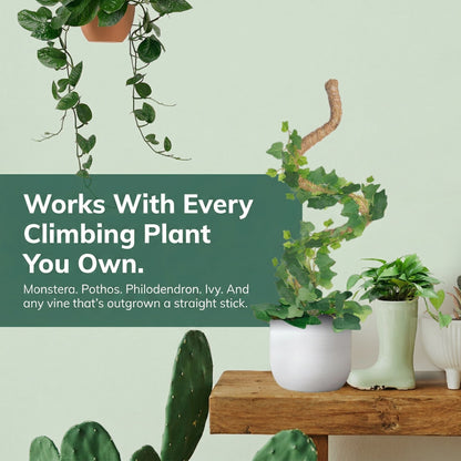 Bendable Coconut Coir Plant Pole