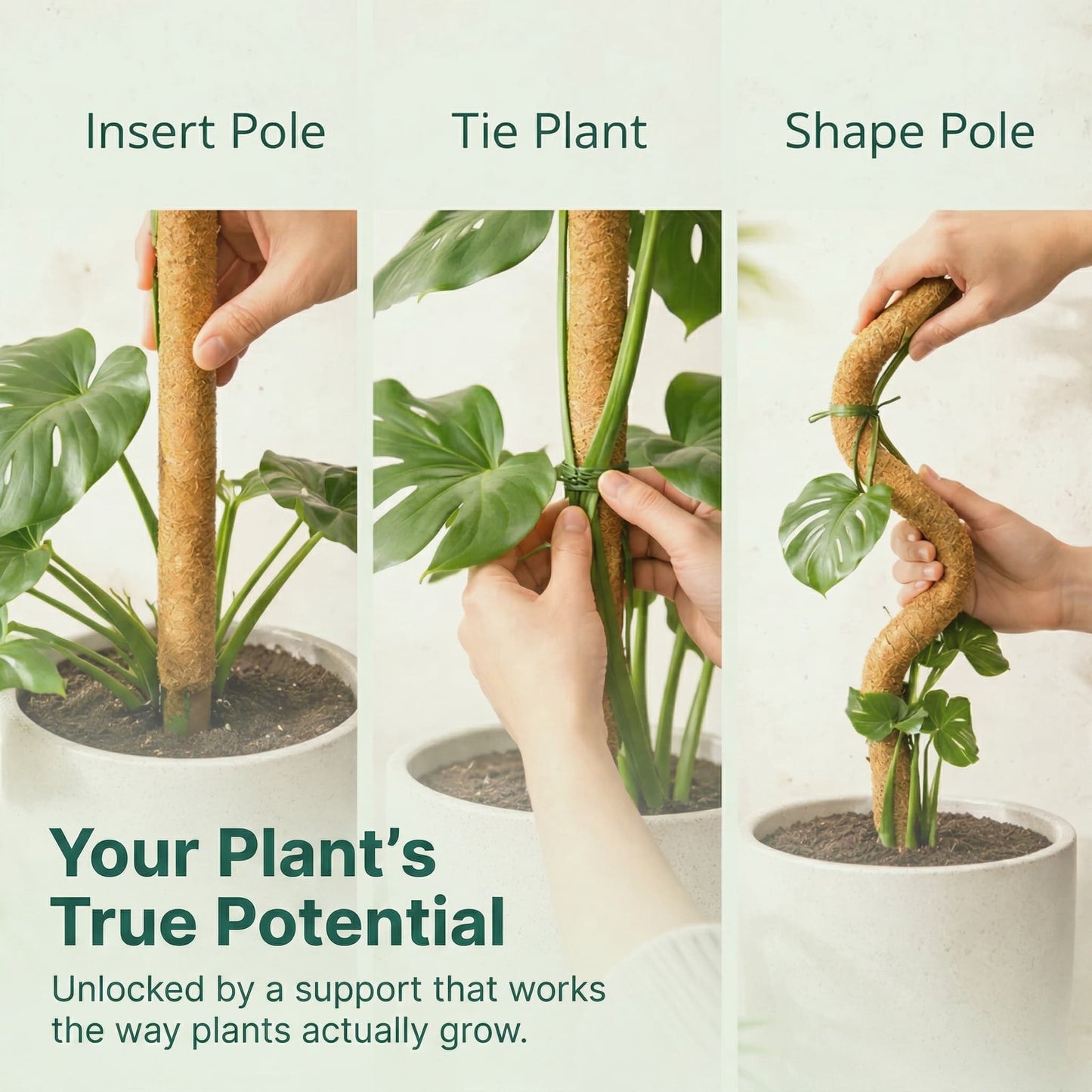 Bendable Coconut Coir Plant Pole